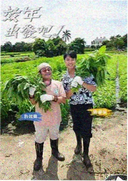 披荆斩棘